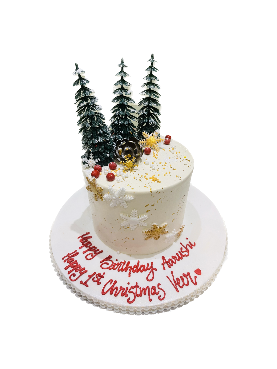 Winter Wonderland Birthday Cake