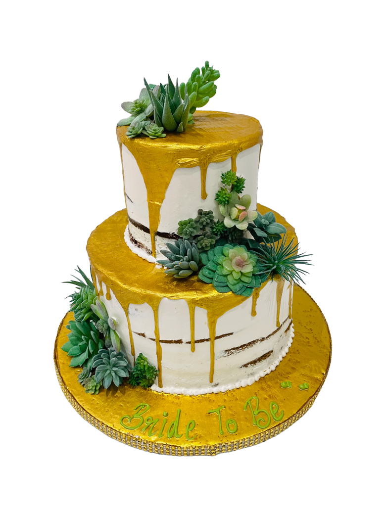 Succulents Tiered Cream Cake