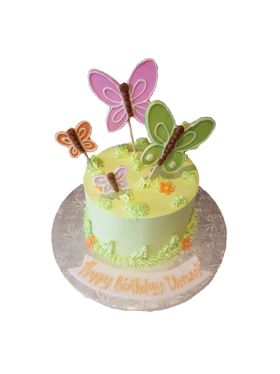 Dhruvi Butterfly Cake