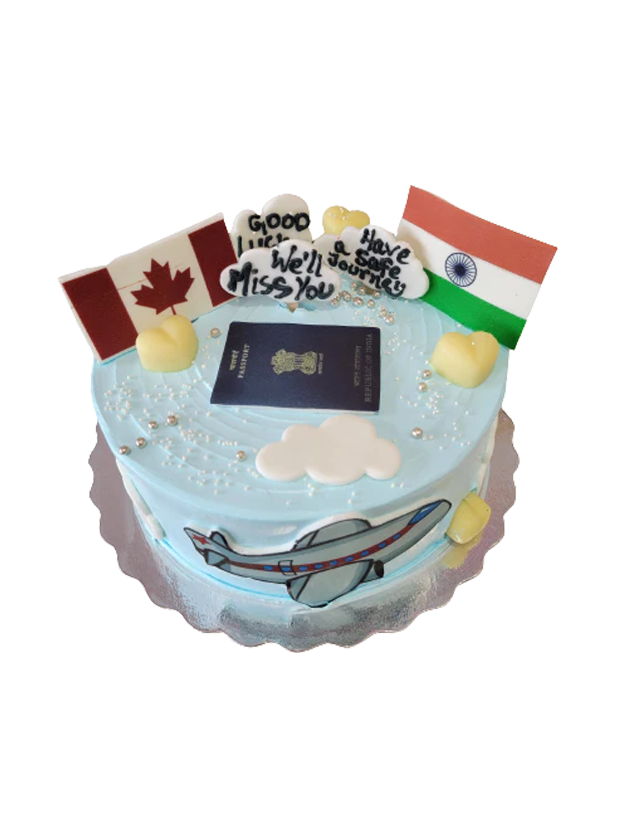 Canada To India Plane Cake