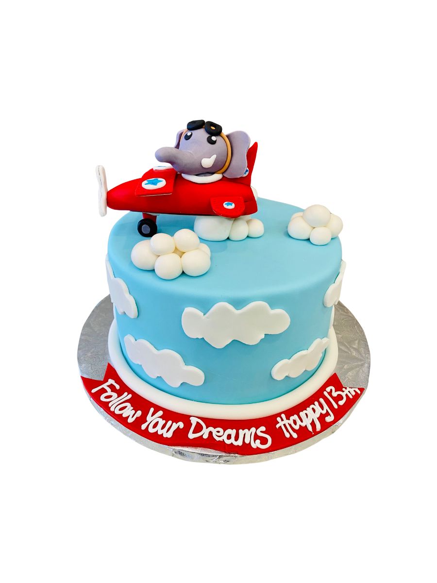 Elephant Aeroplane Fondant Cake