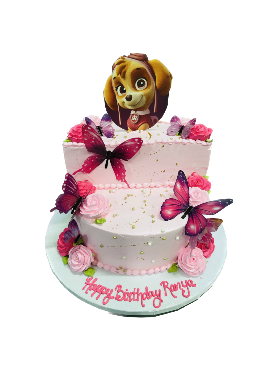 Paw Patrol Stage Cake