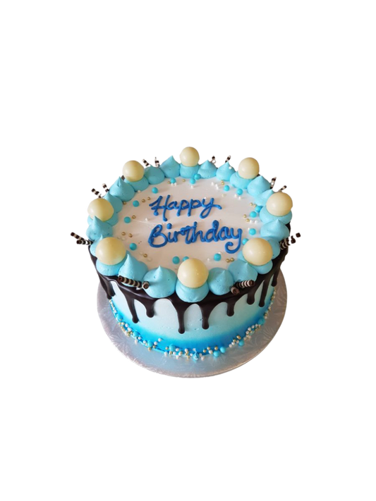 Robin Birthday Cake