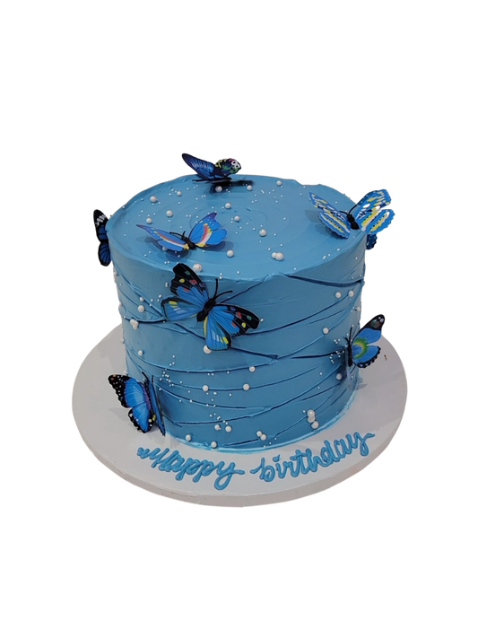 Benjamin Butterfly Birthday Cake