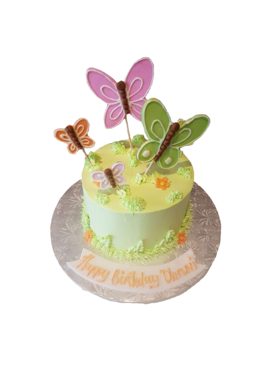 Dhruvi Butterfly Cake