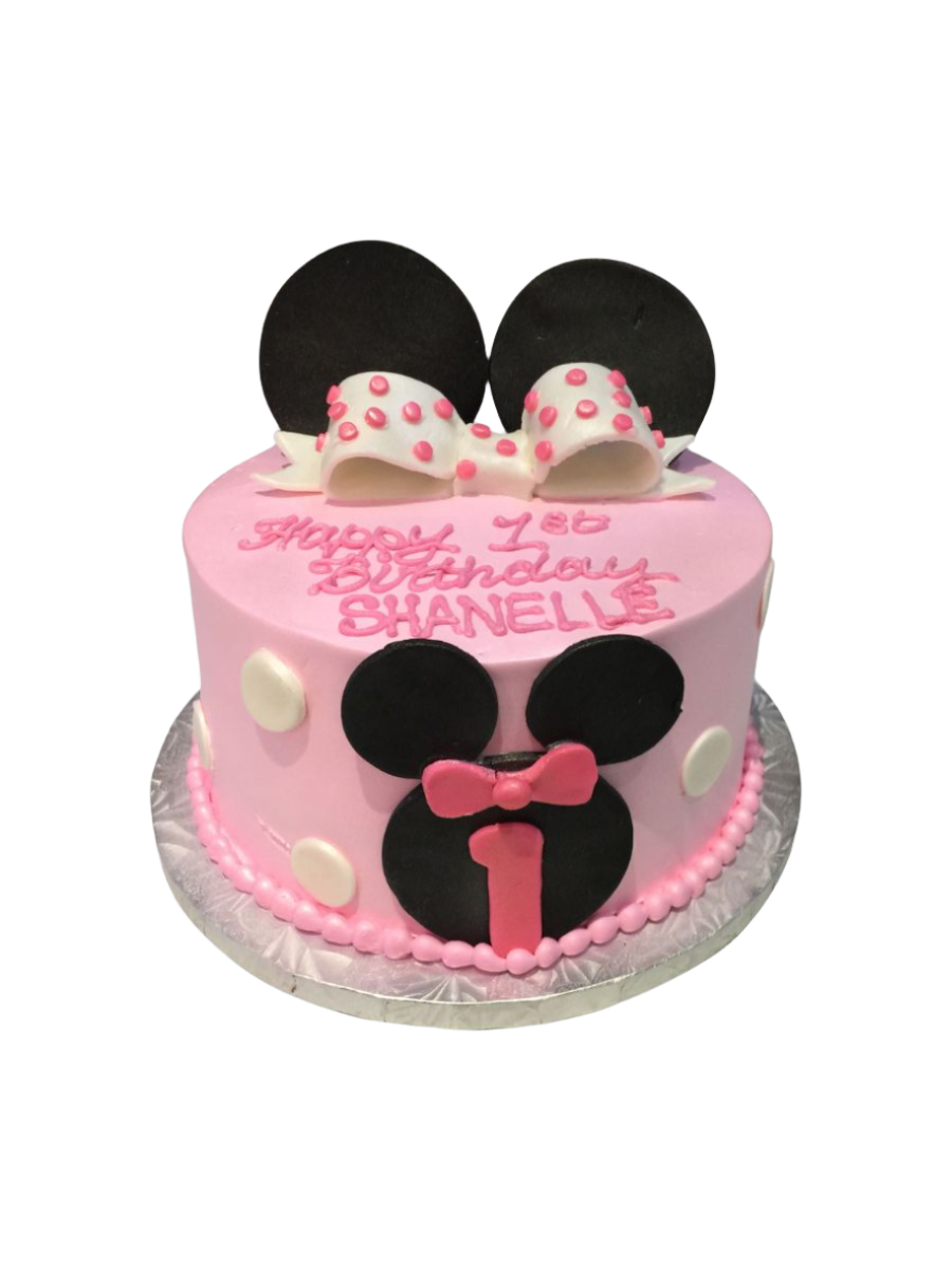 Shenelle Minnie Cake