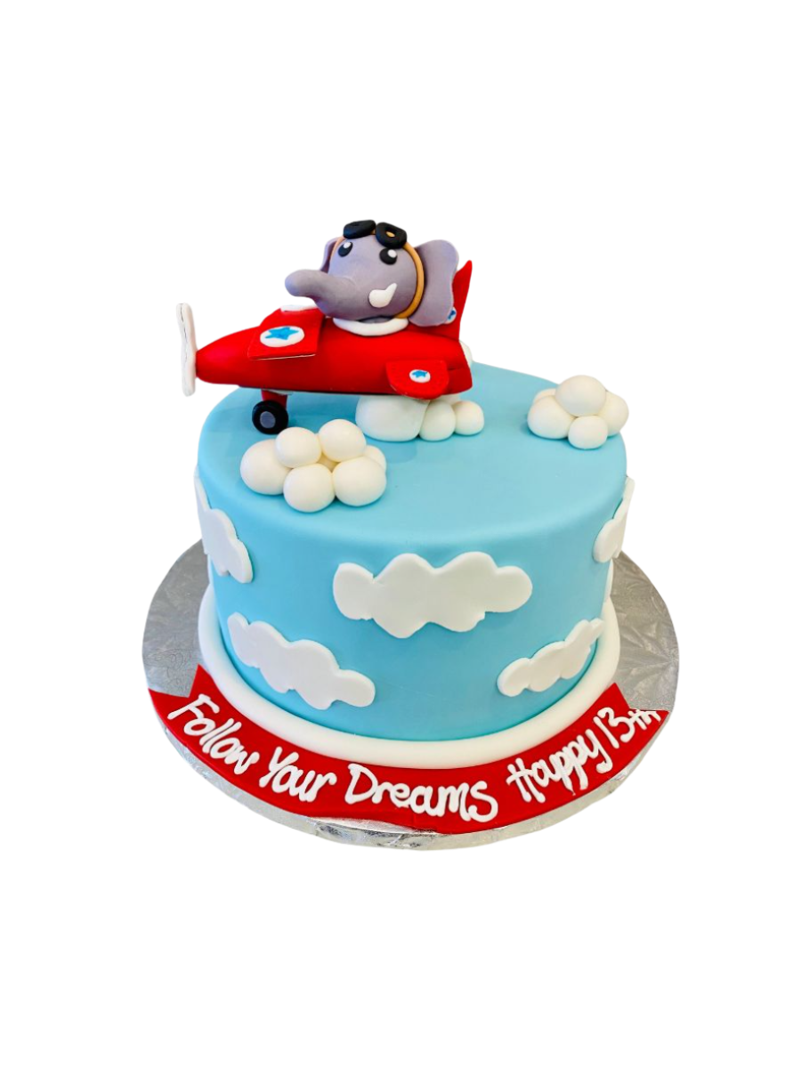 Elephant Aeroplane Fondant Cake