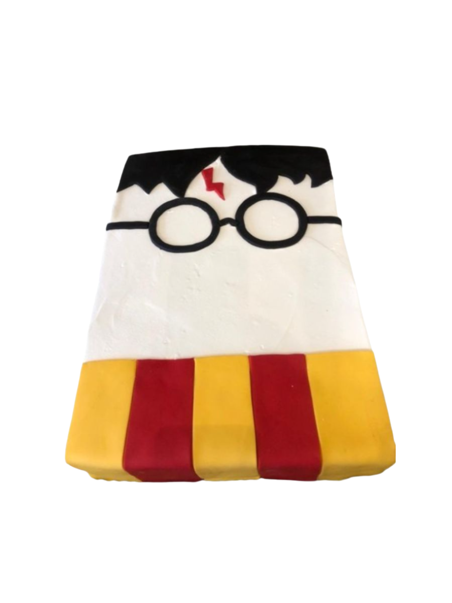 Harry Potter Birthday Cake