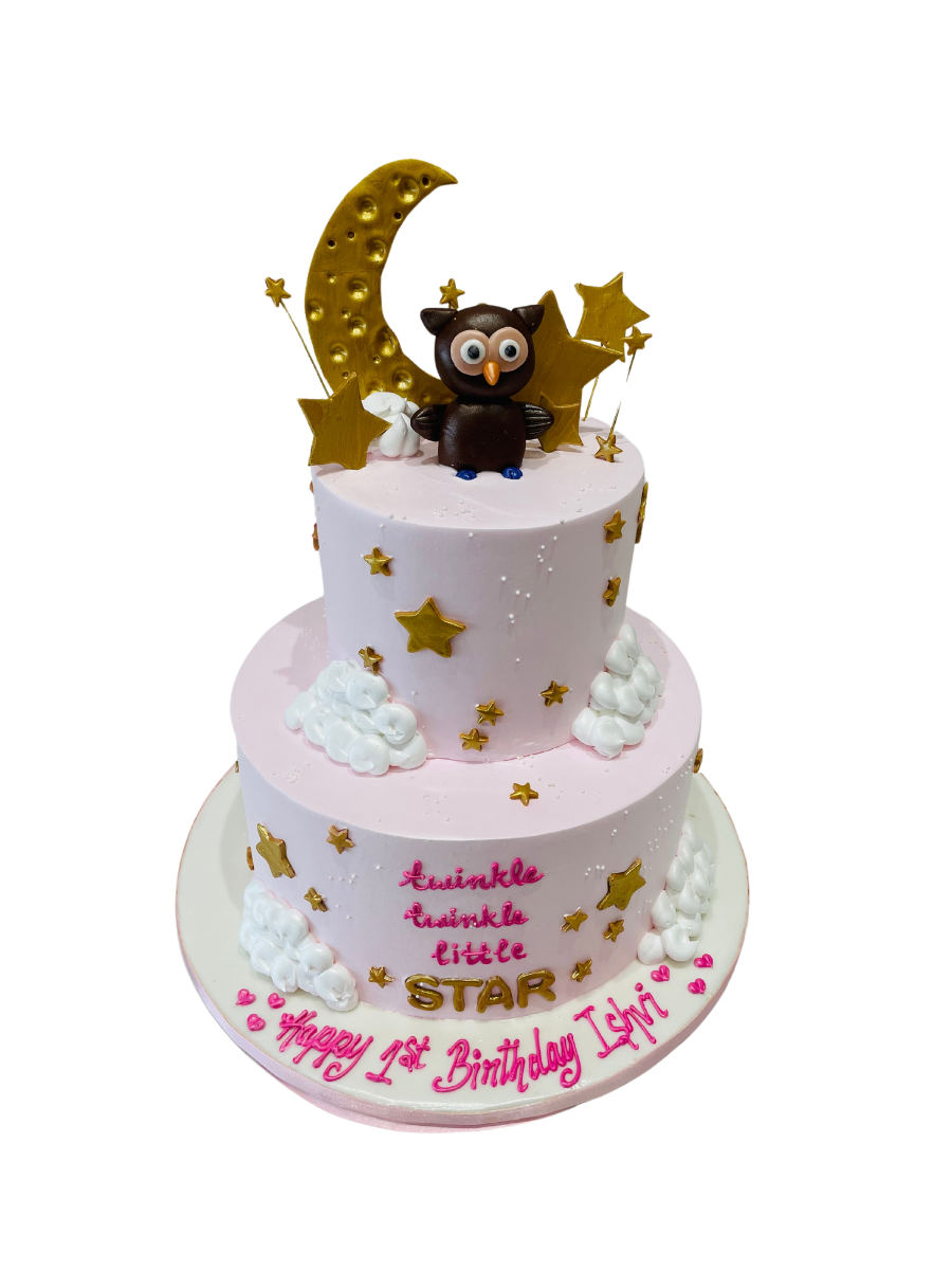 Ishvi Owl Cream Cake