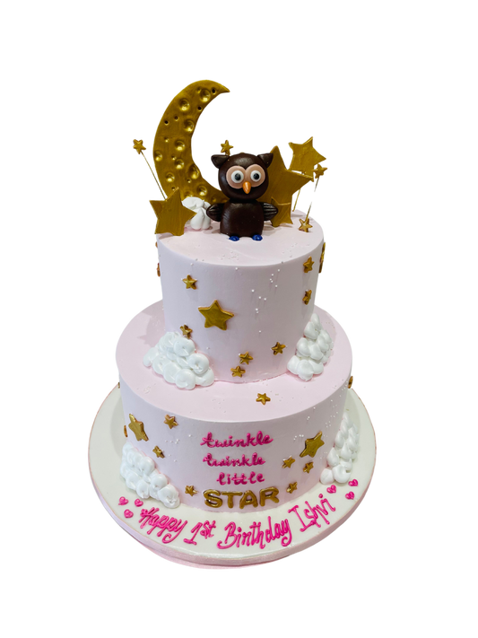 Ishvi Owl Cream Cake