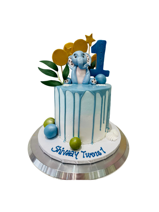 Shivaay First Birthday Cake