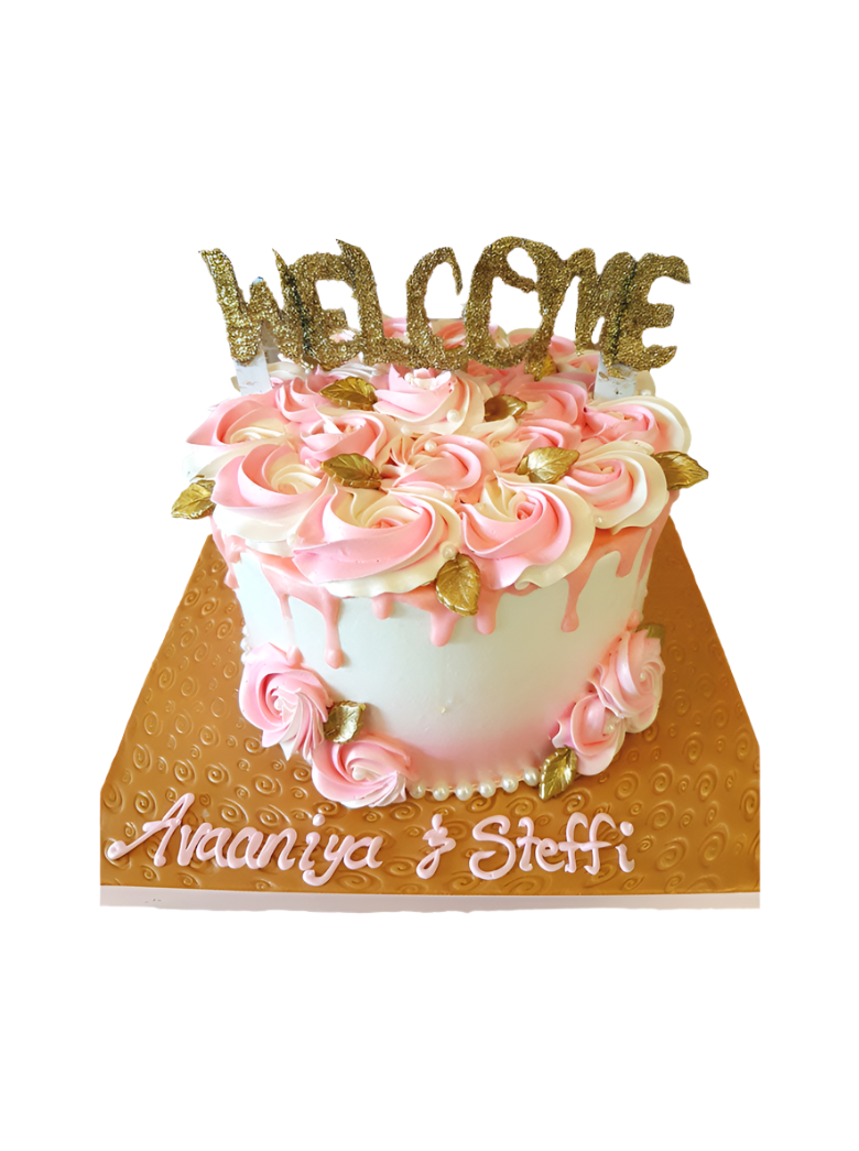 Avaaniya And Steffi Birthday Cake