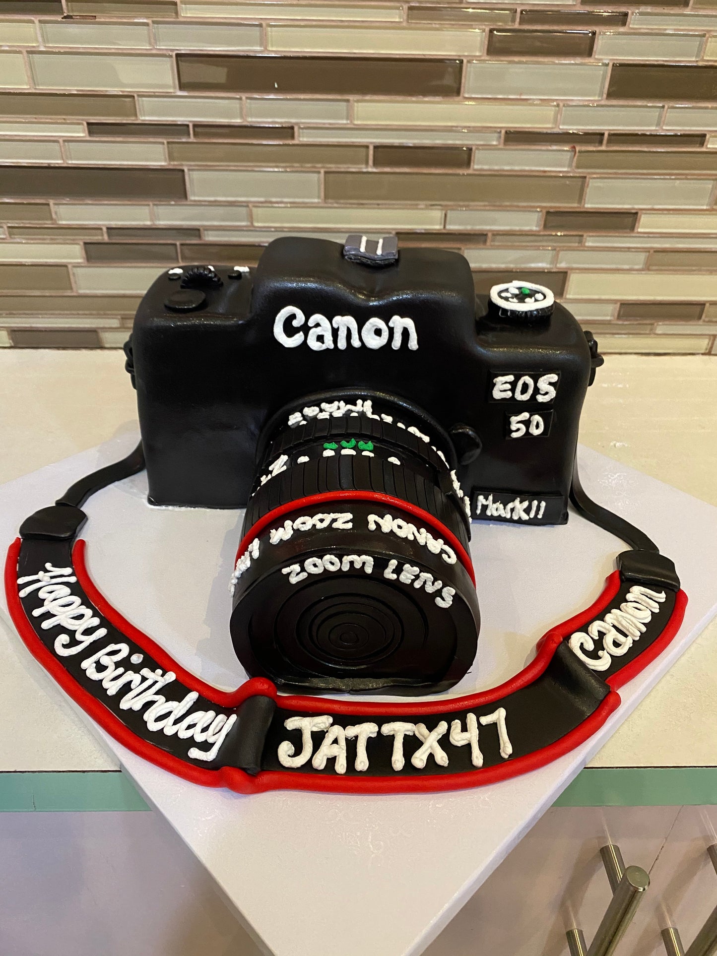3D Camera Molded Cake