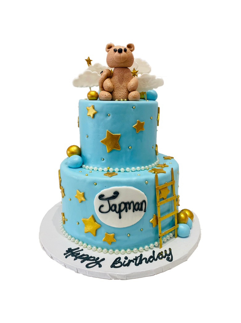 Japman Teddy Bear Fondant Cake