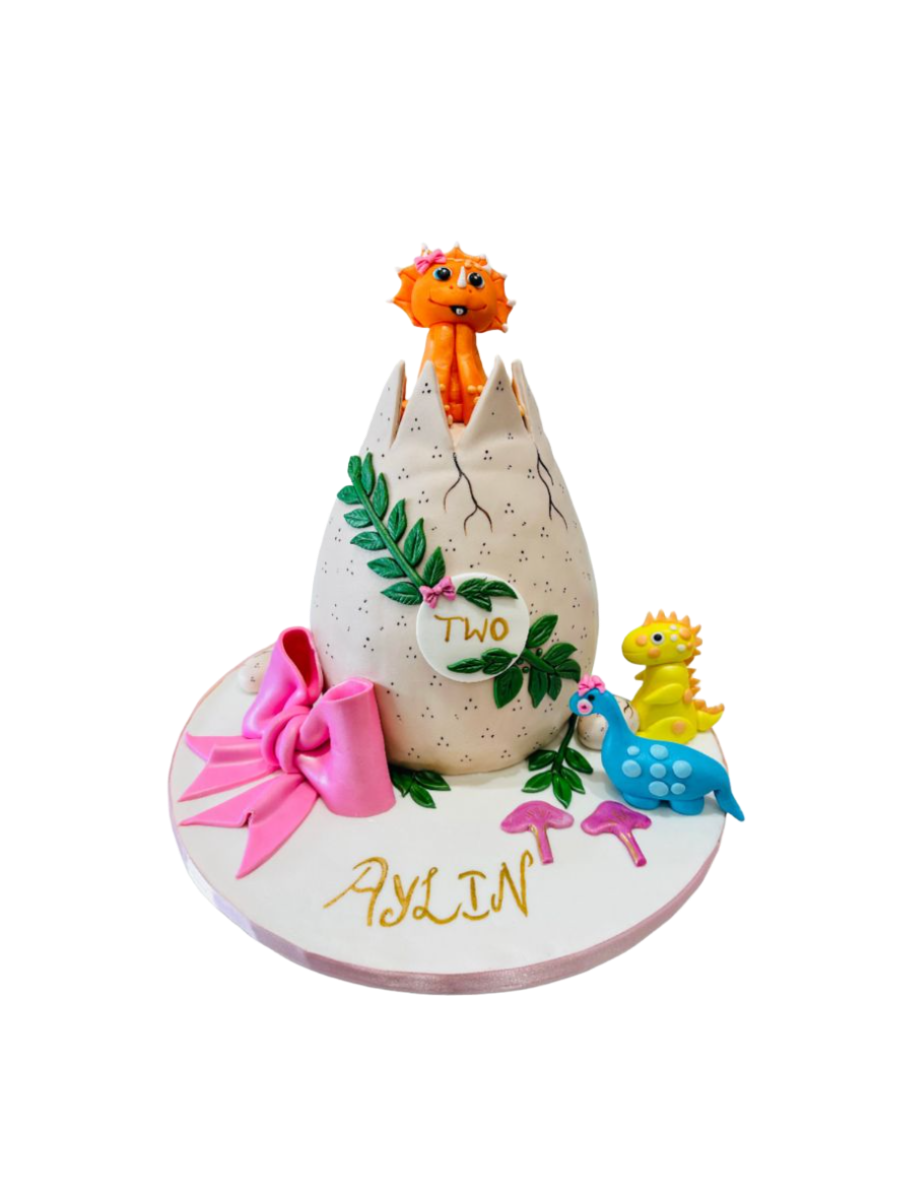 Aylin Dino Molded Cake