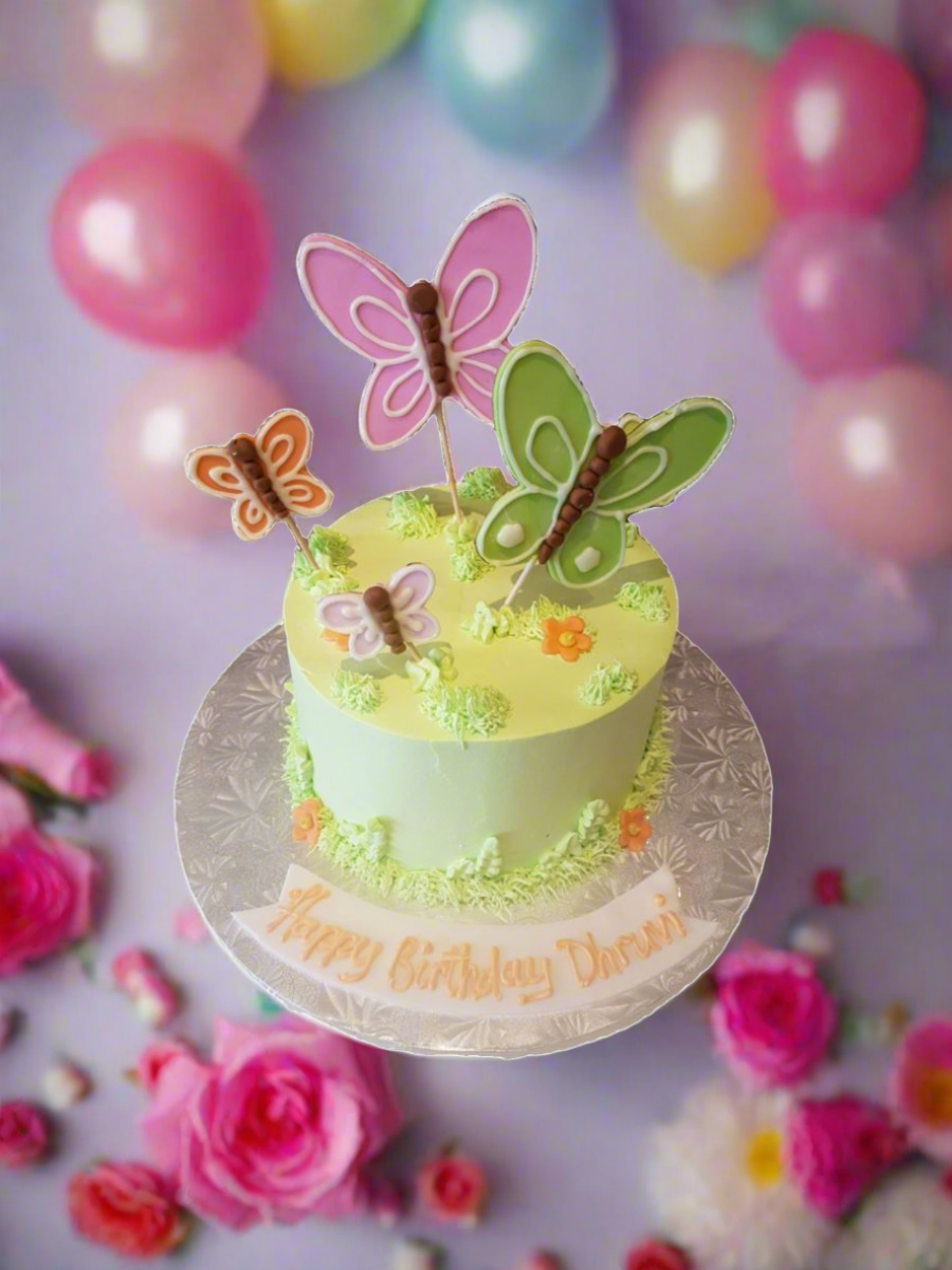 Dhruvi Butterfly Cake