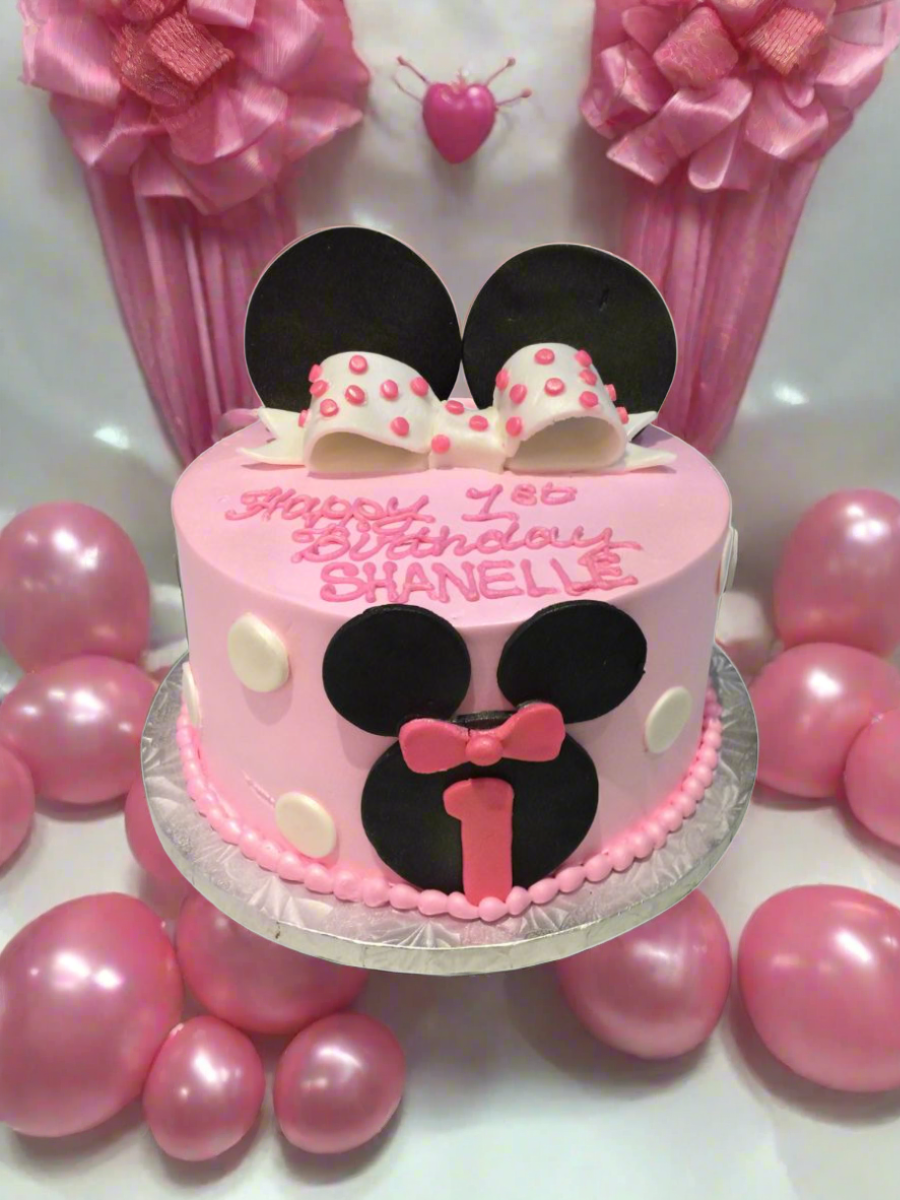 Shenelle Minnie Cake