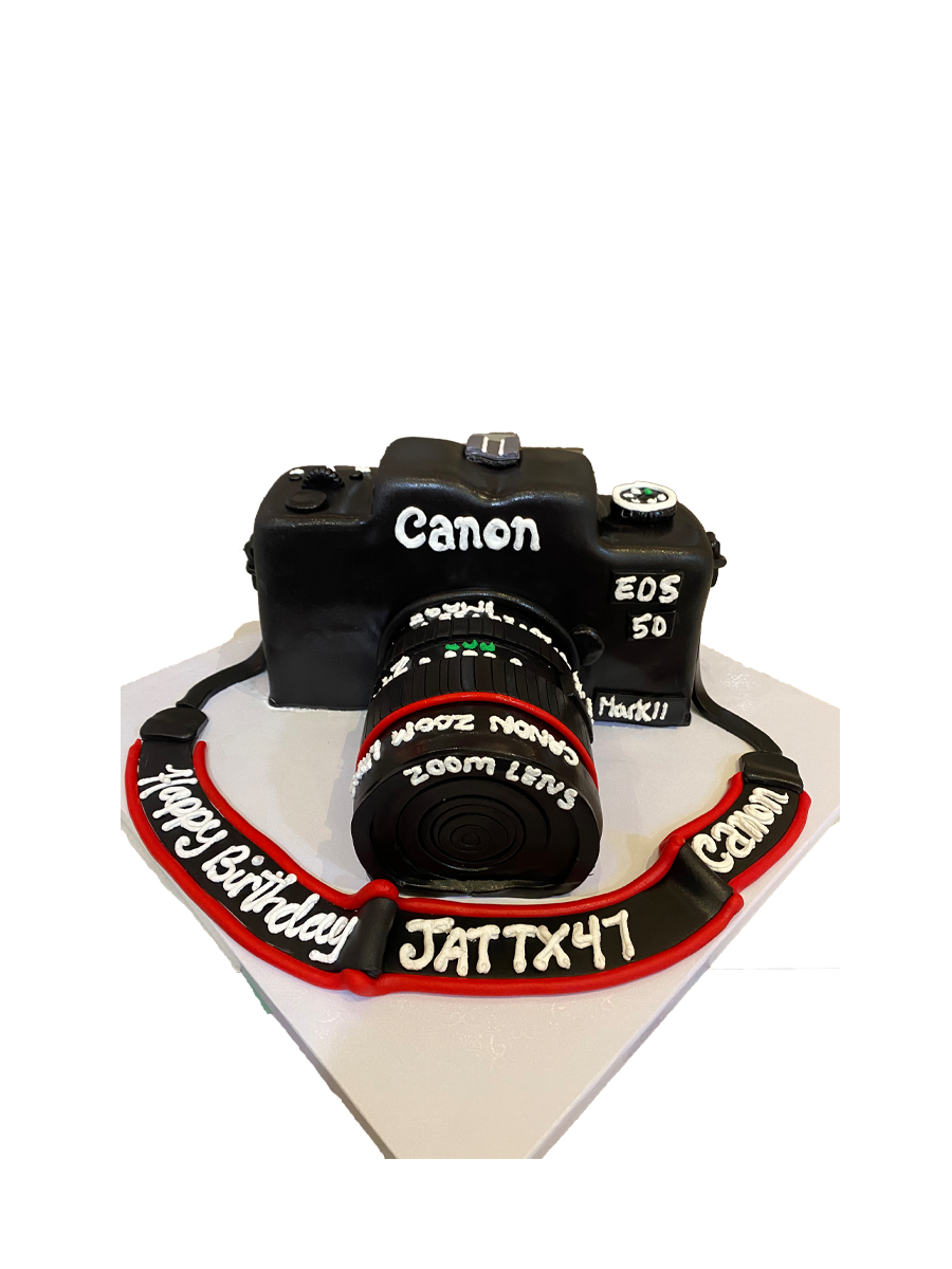 3D Camera Molded Cake
