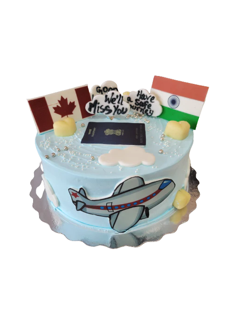 Canada To India Plane Cake