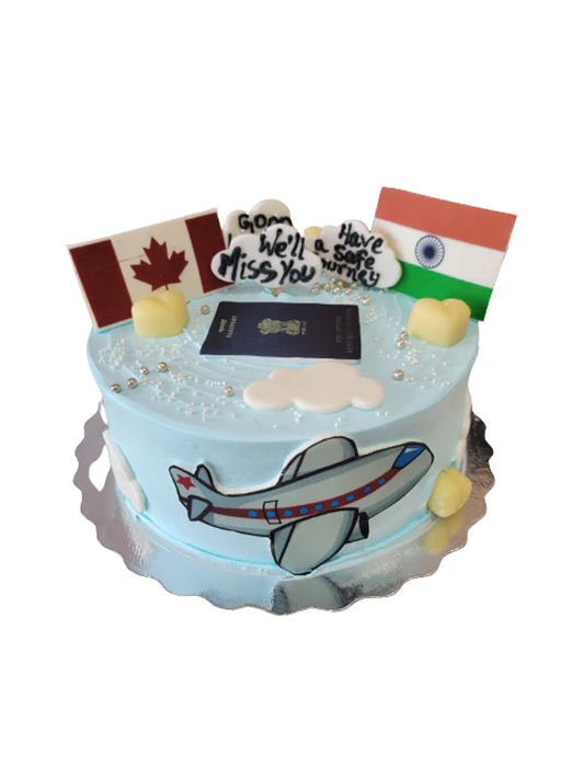Canada To India Plane Cake