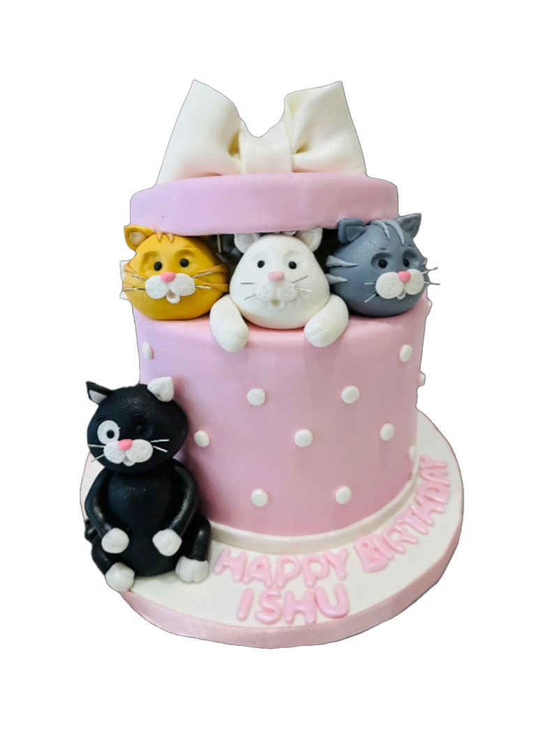 Cat Gift Box Fondant Cake