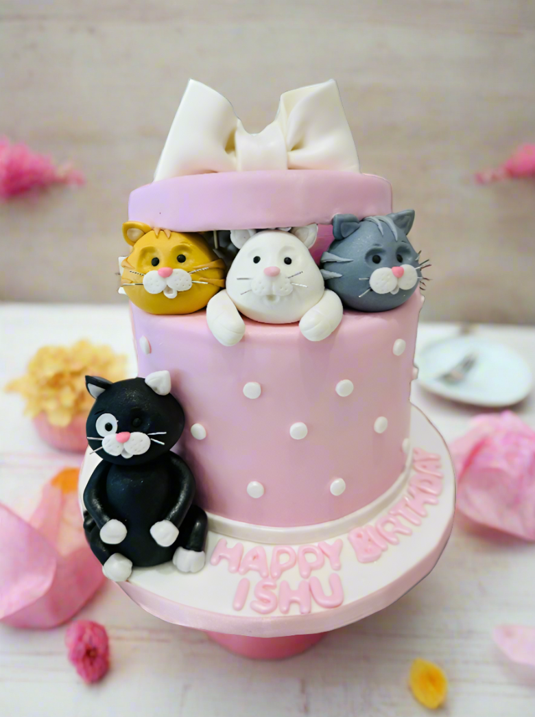 Cat Gift Box Fondant Cake