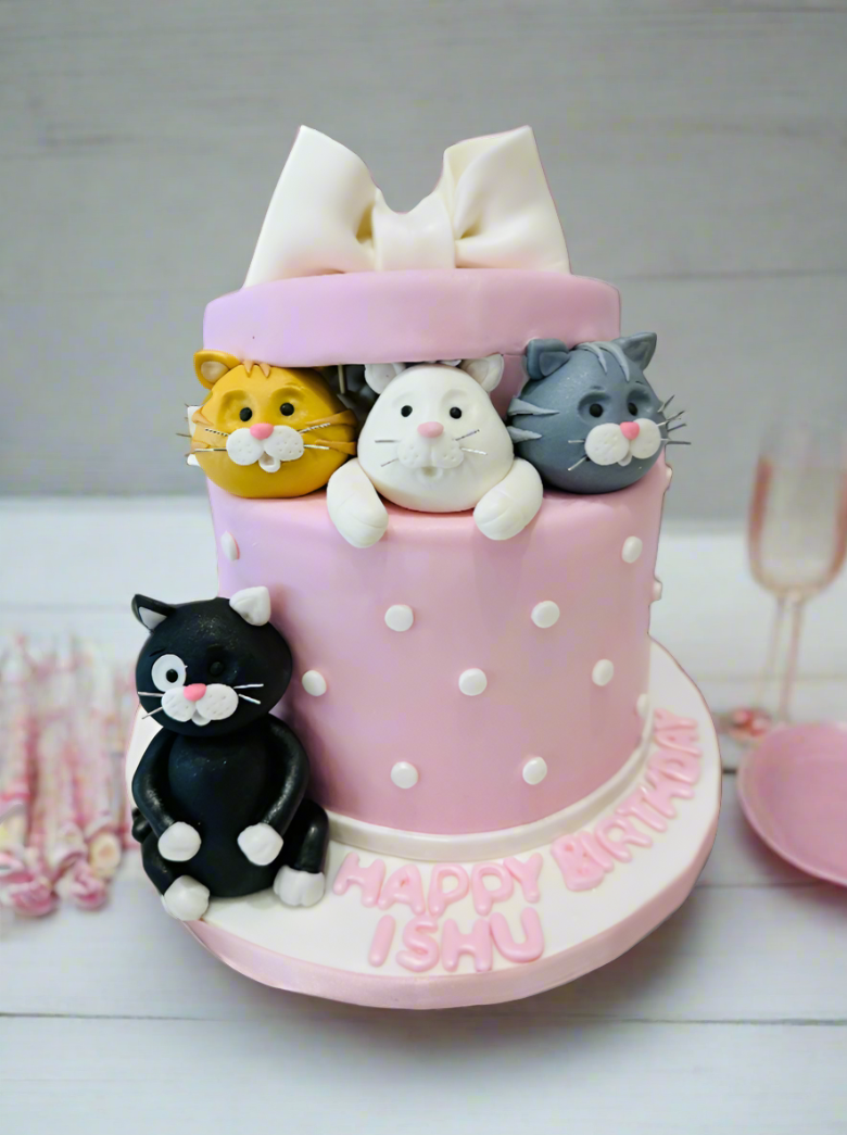 Cat Gift Box Fondant Cake