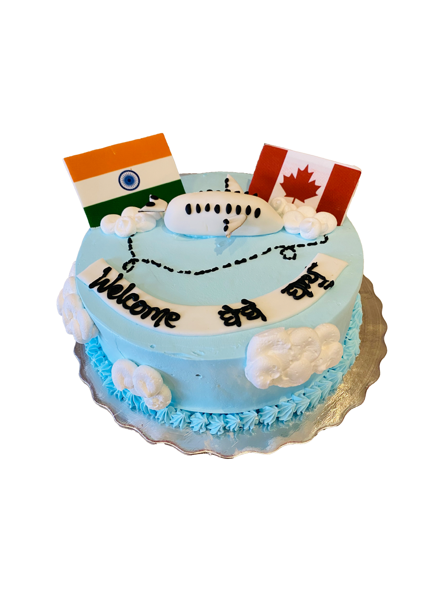 India To Canada Plane Cake