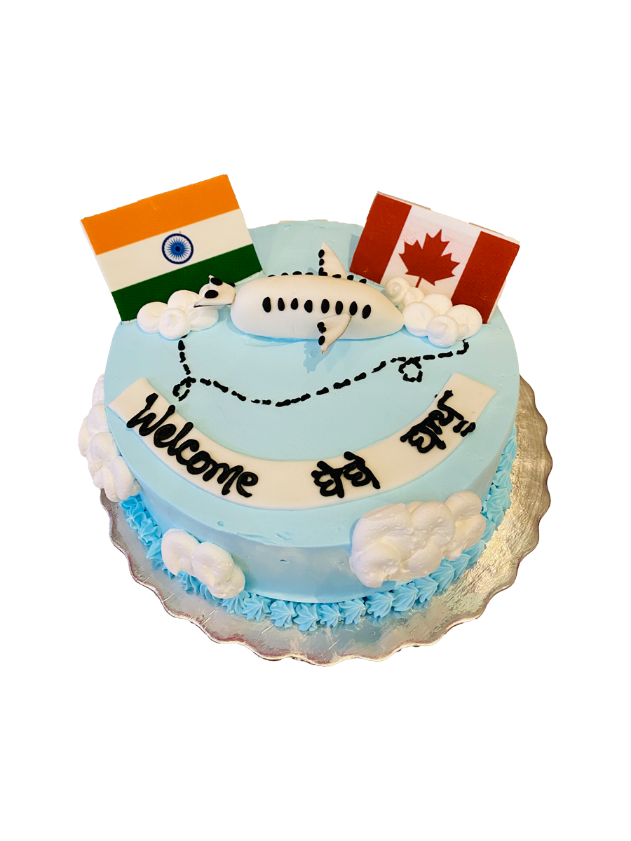 India To Canada Plane Cake