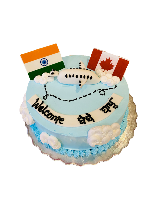 India To Canada Plane Cake
