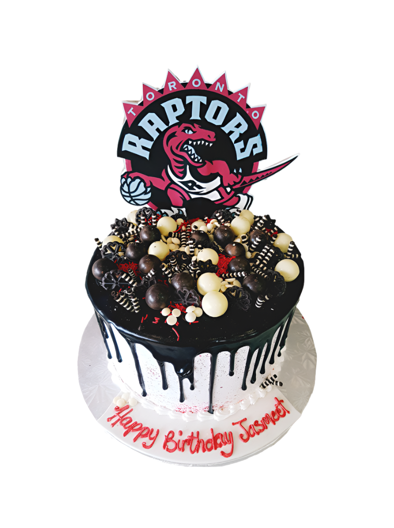 Jasmeet Raptors Cake