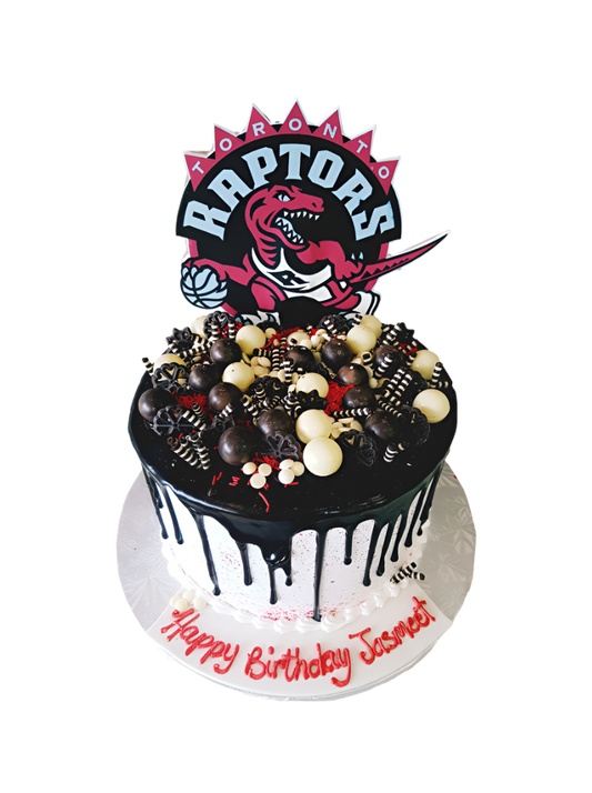 Jasmeet Raptors Cake