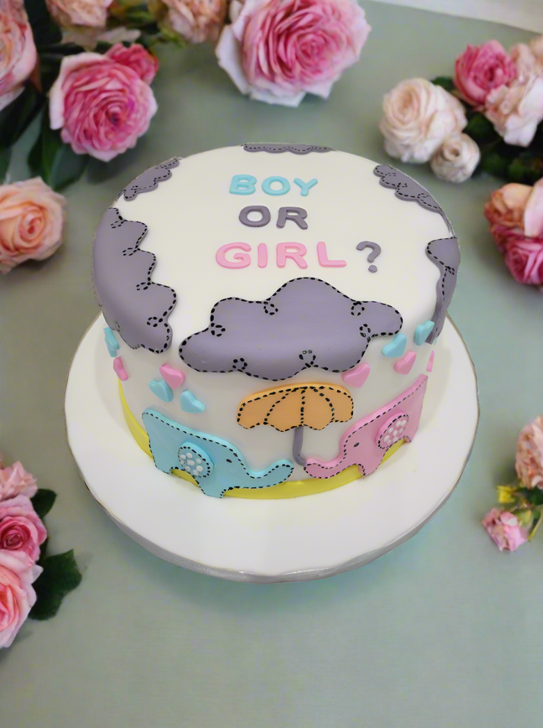 Sam Elephant Theme Fondant Cake