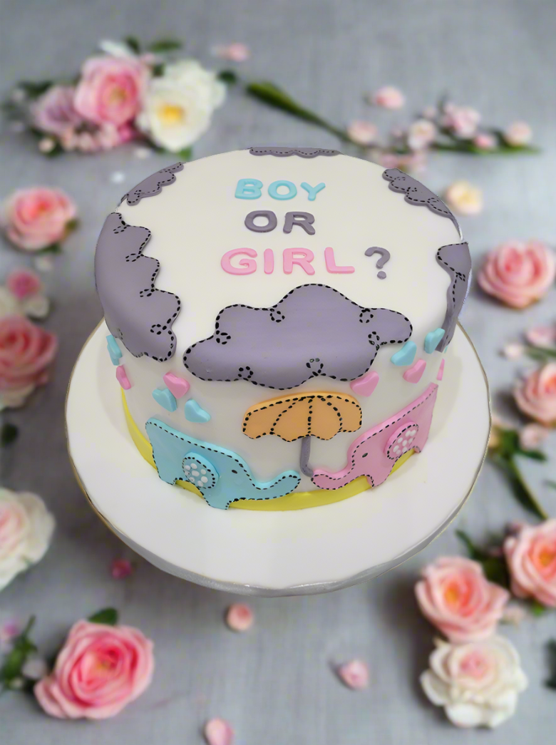 Sam Elephant Theme Fondant Cake