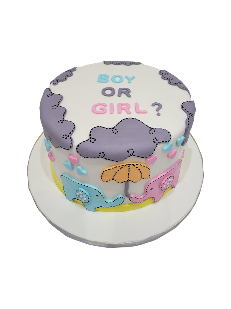 Sam Elephant Theme Fondant Cake