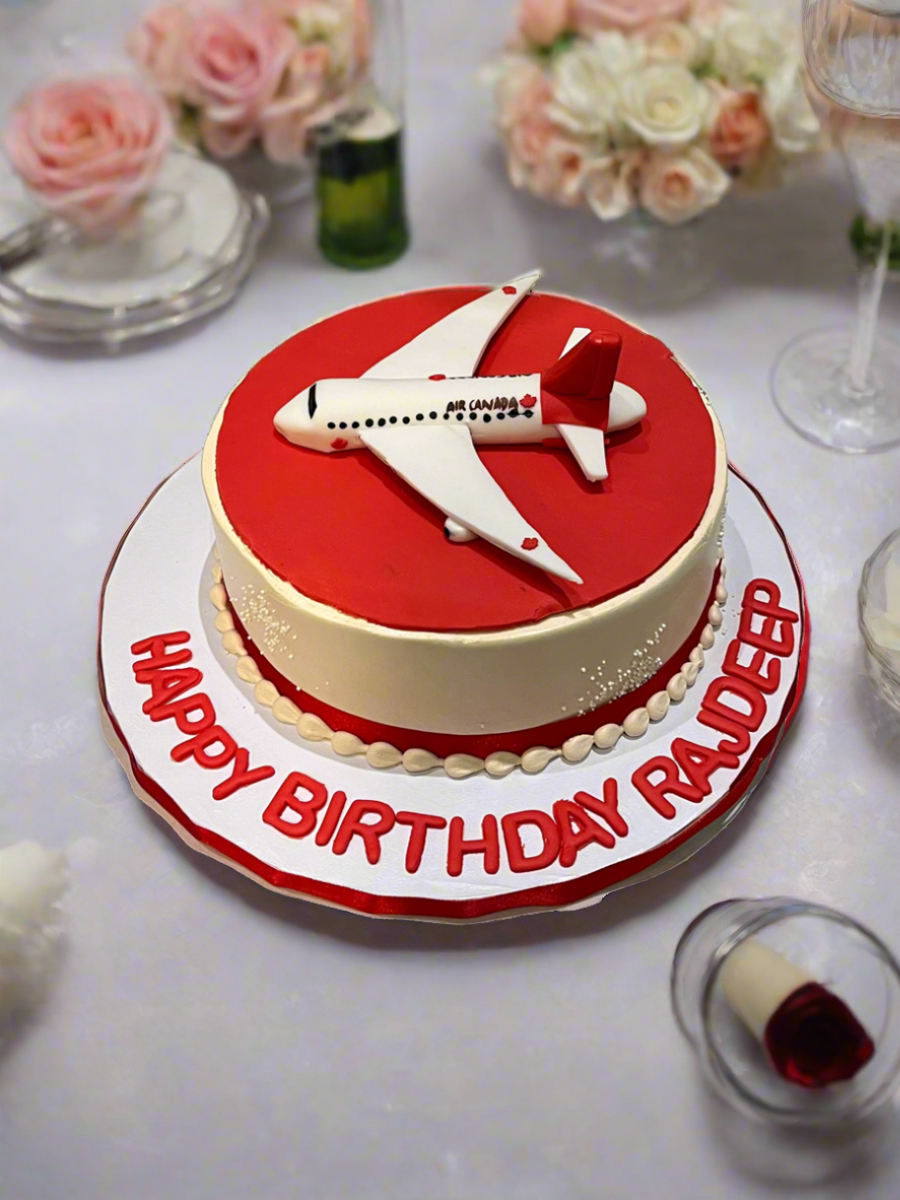 WELCOME TO CANADA PLANE CAKE