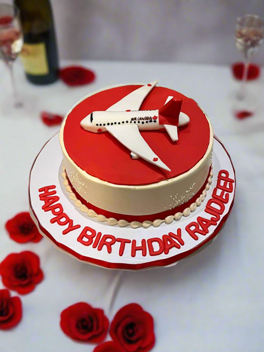 WELCOME TO CANADA PLANE CAKE